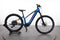 Corratec E-Power X-Vert Race Sport