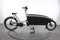 Urban Arrow Family Active plus Connected+