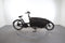 Urban Arrow Family Active Plus