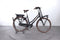 Gazelle Miss Grace C7+ HMB