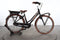 Gazelle Miss Grace C7+ HMB