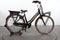 Gazelle Miss Grace C7+ HMB