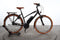 Riese & Müller Cruiser Mixte rücktritt
