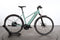 Riese & Müller Roadster Mixte vario