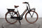 Gazelle Miss Grace C7+ HMB