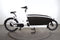 Urban Arrow Family Performance Line