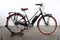 Electra Loft Go! 5i