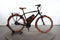 Riese & Müller Cruiser2 vario