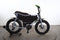 Ruff Cycles Lil Buddy