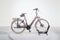 Excelsior Pearl CB