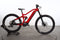 Haibike AllMtn CF 12