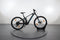Mondraker Chaser 29