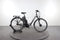 Kreidler Vitality Dice