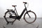 Gazelle Arroyo C8 HMB Elite
