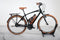 Riese & Müller Cruiser Vario