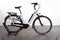 Gazelle Arroyo C7+ HMB Elite