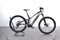 Trek Powerfly FS 4