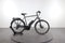Triumph E-Bird Ultra