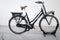 Gazelle Miss Grace C7+ HMB