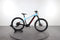 Mondraker Prime R+