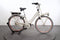 Gazelle Miss Grace C7+ HMB
