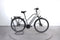 Raleigh Bristol Premium