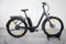 Victoria eUrban 11.9 Wave