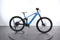 Mondraker Chaser R