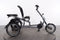 Pfautec Scoobo