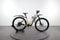 Advanced E-Bike Offroad Pro X