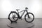 Trek Powerfly 7