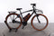 Riese & Müller Cruiser Vario