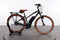 Riese & Müller Cruiser Mixte Vario
