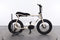 Ruff Cycles Lil Buddy