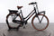 Gazelle Miss Grace C7+ HMB