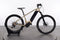 FXX Cycles E-Woodrocker