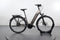 Raleigh Bristol Premium