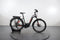 Haibike Trekking 9