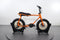 Ruff Cycles Lil Buddy