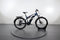 Raymon CrossRay FS E 4.0