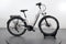Pegasus Savino Evo 10 CX