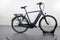Gazelle Arroyo C7+