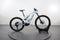 Specialized Turbo Levo