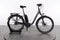 Raleigh Kingston 8