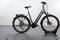 Raleigh Kent 10