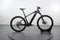Trek Powerfly 4