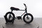 Ruff Cycles Lil Buddy