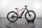 Ebike Das Original Offroad Advanced 9