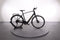Trek FX+ 2