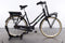 Gazelle MISS GRACE C7+ HMB